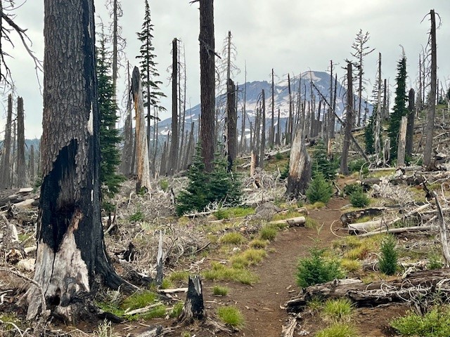 Camp Lake